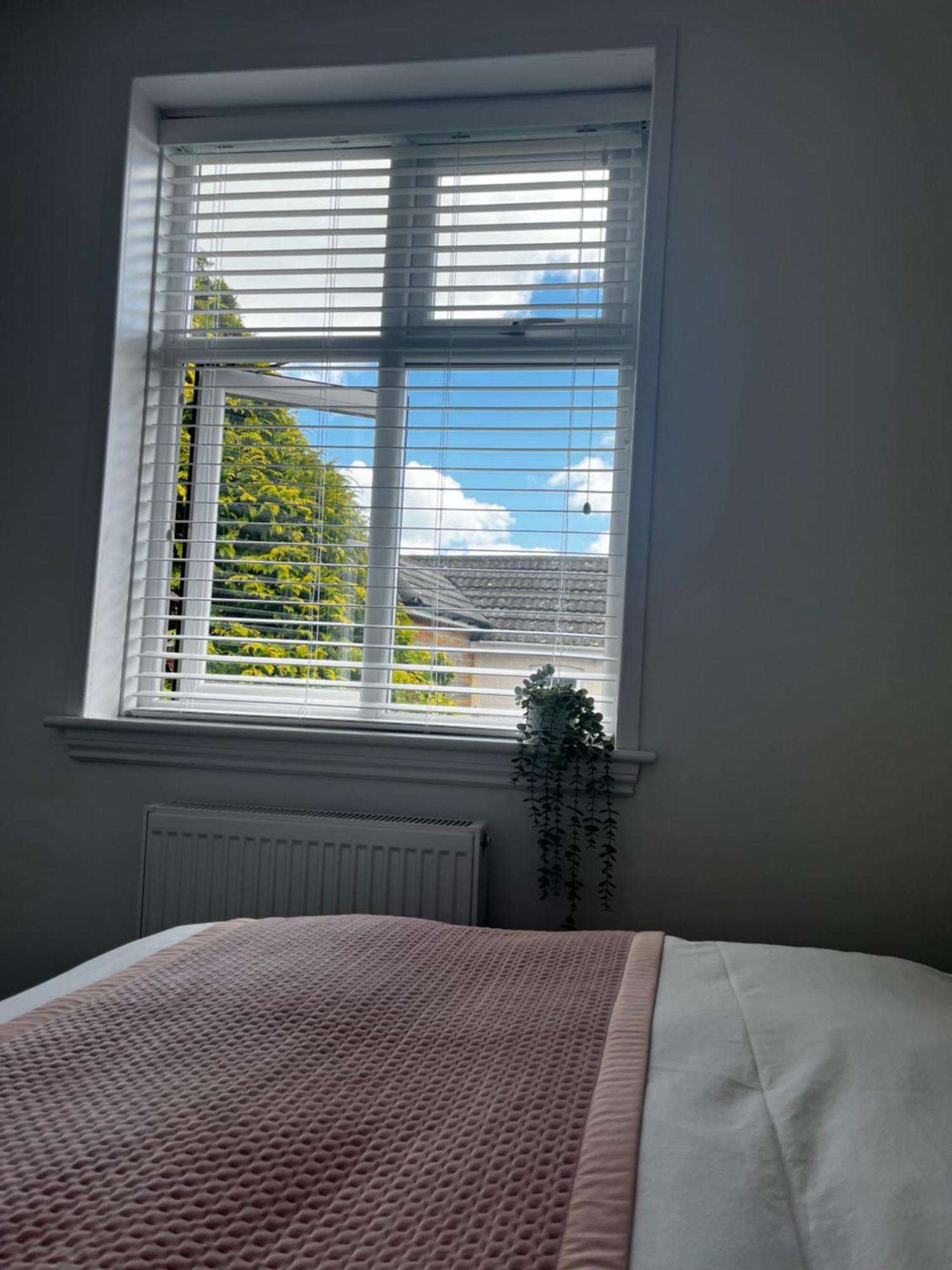 בורנמות' Newly Renovated 3 Bedroom Victorian Detached House מראה חיצוני תמונה